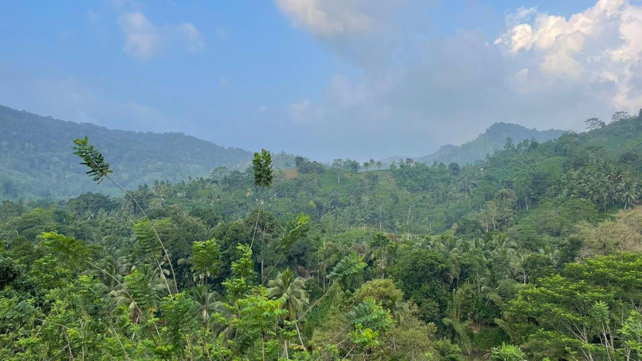 Sinharaja Forest Gate Deniyaya Exterior photo