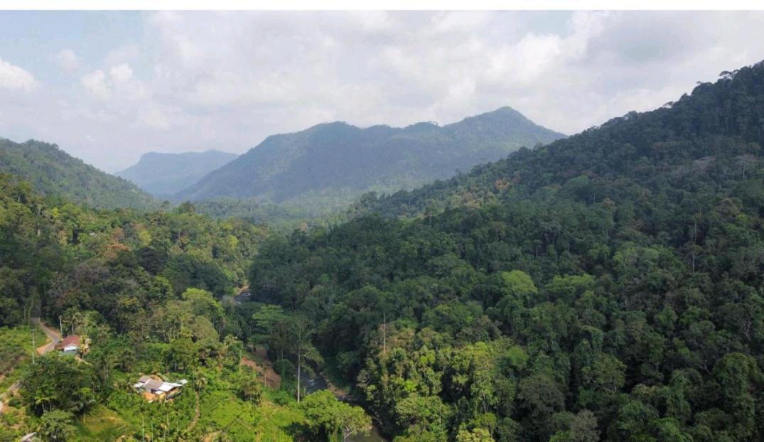 Sinharaja Forest Gate Deniyaya Exterior photo