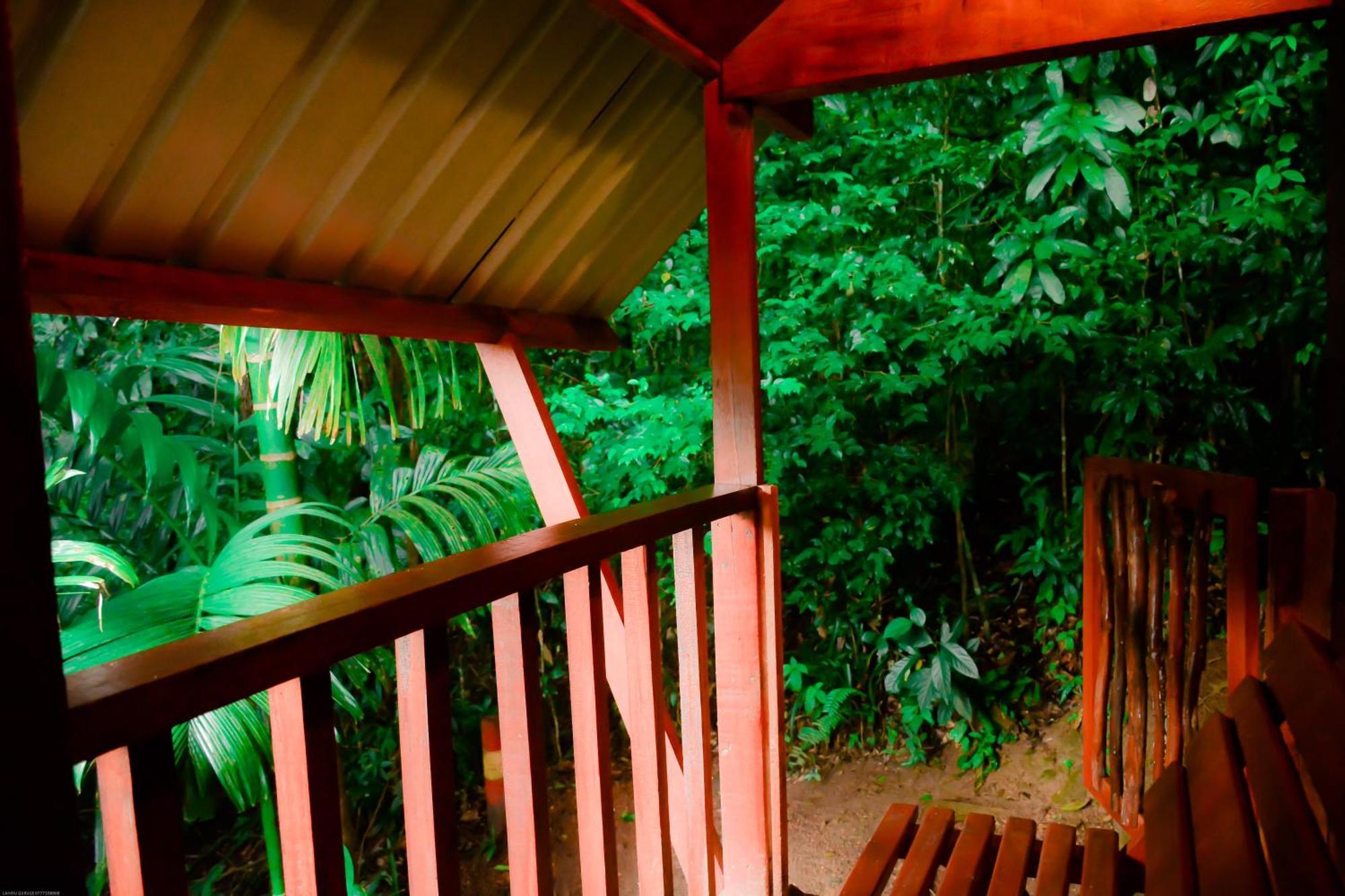 Sinharaja Forest Gate Deniyaya Exterior photo